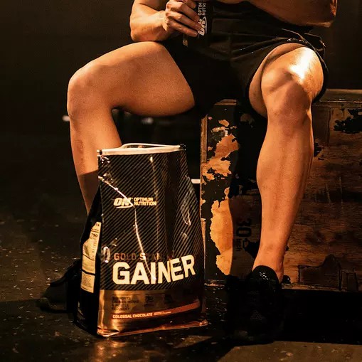 Optimum Nutrition Gold Standard Gainer Chocolate 4.67kg Österreich | WK2568930