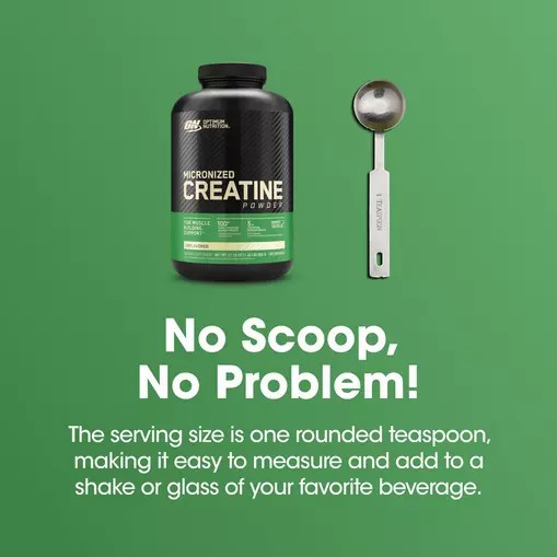 Optimum Nutrition Micronized Creatine Powder Unflavored 1.32 lb (120 Servings) Österreich | MI5389742